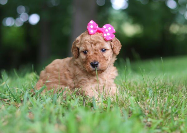 Hailey - Image 8
