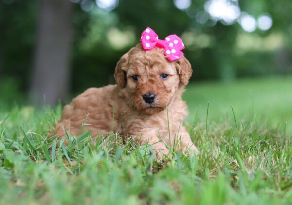 Hailey - Image 7
