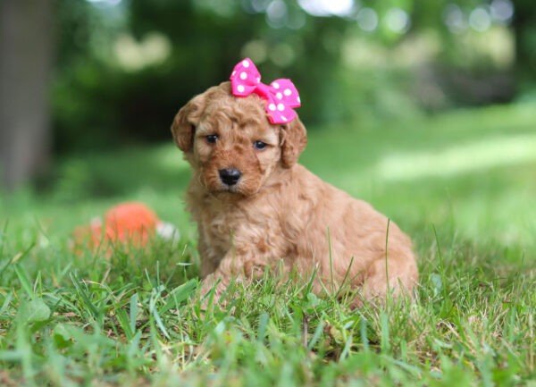 Hailey - Image 6