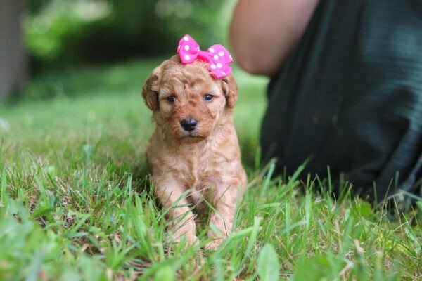 Hailey - Image 5