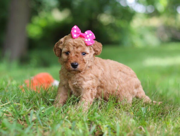 Hailey - Image 4