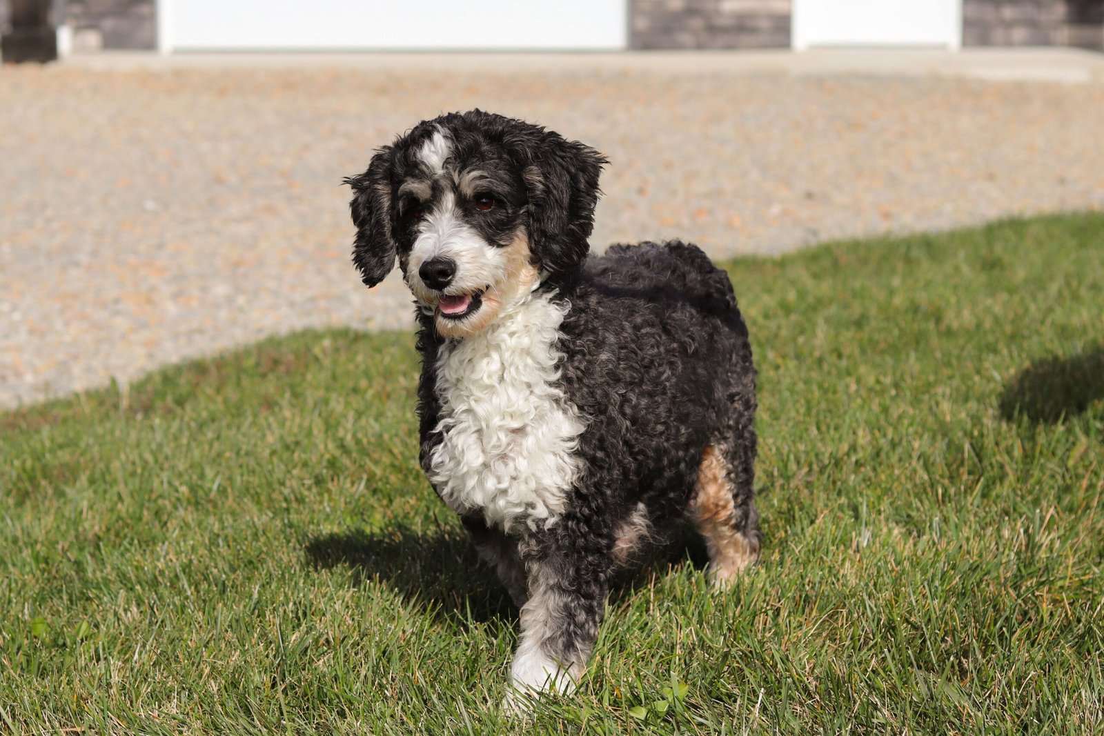 Kayla 32lbs Kayla 32lbs