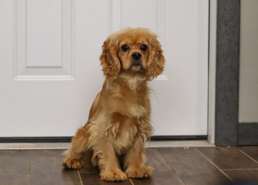 Screenshot_20250912-072632_Email