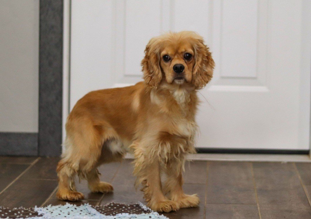 Screenshot_20260121-173943_Chrome