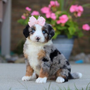 Maddie